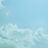 夏/秋