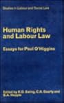 Human Rights & Labour Law