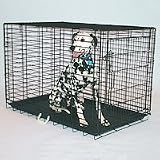 Pet Product 404-BK Dog Crate - Valu Line - Large - Black