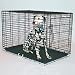 Pet Supplies : Pet Product 404-BK Dog Crate - Valu Line - Large - Black