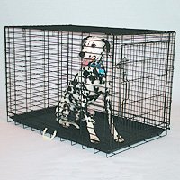Value Line Dog Crate - Large/Black