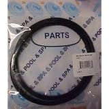 Hayward Star-Clear Plus Pool Filter Head O-Ring O-240 CX900F