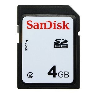 Sandisk SDHC 4GB (bulk)
