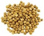 Coriander Seed Whole (1 LB)