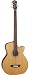 Michael Kelly Club Custom 5 String Acoustic Bass, Gloss Natural