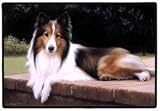 Pet Mat - 18.0 x 27.0 - Sheltie Collie.
