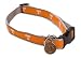 Pet Supplies : University of Tennessee Volunteers Dog Puppy Collar Medium / Large Officially Licensed