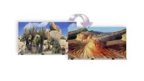 Desert Cact Background Double Sided - Part #: VSB-14-12