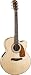 Fender CJ-290 SCE Jumbo Acoustic-Electric Guitar, Natural