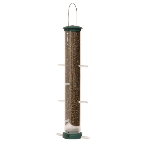 Aspects 428 Quick Clean Spruce Large