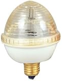 Egg Strobe