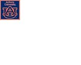 Auburn Note Cube