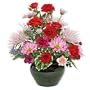 Flowers - Pretty Palette