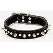 Coastal Pet Circle T Oak-Tanned Leather Spiked Dog Collar (Black, 18 Inch L x 1 Inch W) Coastal Pet Circle T Oak-Tanned Leather Spiked Dog Collar (Black, 18 Inch L x 1 Inch W)