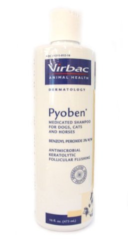 Pyoben Shampoo 16oz