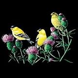 American Goldfinch & Thistle Adult Long Sleeve T-Shirt