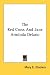 The Red Cross And Jane Arminda Delano
