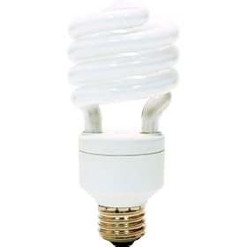 GE 85394 15-Watt DayLight Energy Smart CFL Spiral Light Bulb, 2-Pack