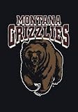 Montana Grizzlies 22 &acute; x 33 &acute; Team Door Mat - B0001H0JU8