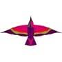 New Tech Kites Hummingbird
