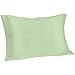 Spasilk 100% Pure Silk Pillowcase for Hair and Skin Beauty, Queen/Standard Size Pillow, 1 Pack