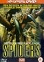 Spiders