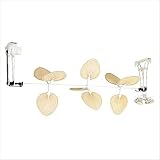 Fanimation Palmetto Series Ceiling Fan in White (Optional Light Kit sold separately)