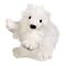 webkinz