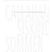 Callahan, Siskind & Sommer: At the Crossroads of American Photography