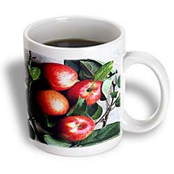 Apple - 11oz Mug