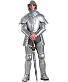 Knight in Shining Armor Adult Costume