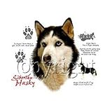 Siberian Husky Adult T-Shirt