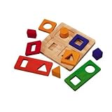 Shape Sorter Tray