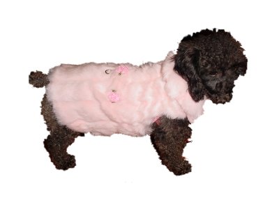 Faux Fur Dog Coat in Light Pink with Rosebuds & Matching Leash - Size Medium