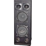 Pyle PADH102 1000W Dual 10-Inch Speaker