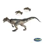 Allosaurus