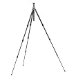 Gitzo Stativ Serie 0 Carbon 6 X G-Lock ALR GT 0541