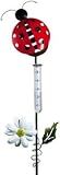 Ladybug Rain Gauge
