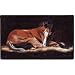 Good As Gold Foal Home Decor Western Horses Horse Halverson Doormat MAT Rug