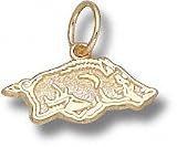 Arkansas Razorbacks Solid 10K Gold Athletic Razorback 1/4'' Pendant