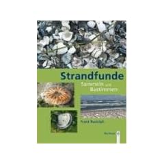 Strandfunde: Sammeln & Bestimmen von Tieren und Pflanzen an Nord- und Ostseek�ste