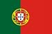 Portugal Flag Polyester 3 ft. x 5 ft.