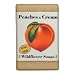 Wildflower Soaps Peaches & Cream 4 oz. Soap Bar (3 Pack)