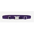 Titan Adjustable Collar for Large Dogs - 1" Blue