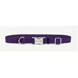 Titan Adjustable Collar for Large Dogs - 1 Blue