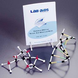Individual DNA And Molecular Model Kit