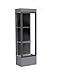 Edge Series Floor Display Case Frame Color: Dark Bronze, Base Color: Carbon Mesh, Case Backing: Black