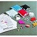 Gel Electrophoresis Simulation Kit