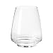 Luigi Bormioli Esperienze 15-1/2-ounce Sauvignon Blanc Tumbler, Set of 4