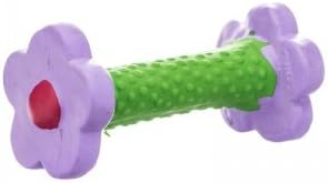 Coastal Pet Products 83207 FLDDOG Li'L Pals Dumbbell Dog Toy Green/Purple, 4 in
